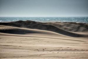 woestijn strand zand duinen Aan winderig dag foto