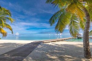 tropisch strand, Maldiven. steiger traject in rustig paradijs eiland. palm bomen, wit zand en blauw zee, perfect zomer vakantie landschap of vakantie spandoek. mooi toerisme bestemming, Maldiven foto