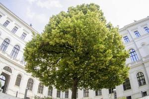 gras Karl fransen Universiteit hoofd gebouw foto