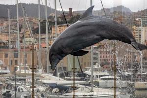 Genua, Italië - maart 4 2018 - Genua aquarium dolfijnen foto