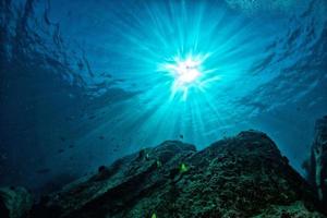 duiken in kleurrijk rif onderwater- in Mexico Cortez zee foto