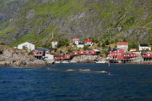 rood huizen vissers dorp lofoten eiland Noorwegen foto