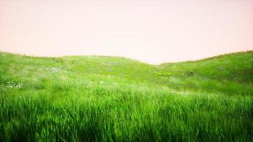 groen gras landschap met heuvels en blauw lucht foto
