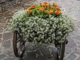 bloemen in een houten vervoer wagon kar foto