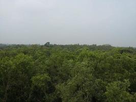 natuurlijk schoonheid van Bangladesh foto