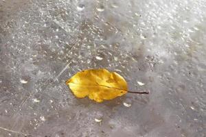 geel herfst blad leugens Aan een plastic glas foto