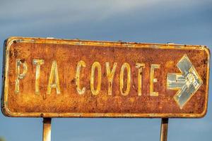 coyote punt teken Sierra guadalupe baja Californië sur Mexico foto