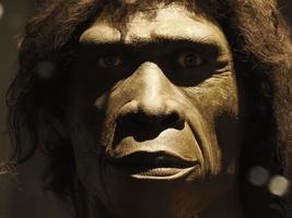 homo erectus menselijk hoofd schedel foto