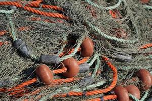 vissers visvangst netto detail foto