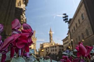 Florence piazza della signoria reflectie in een venster foto