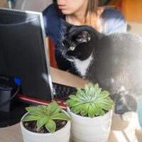 jong vrouw en zwart kat zijn voorzichtig op zoek Bij computer scherm. afgelegen e onderwijs of werk Bij huis. foto