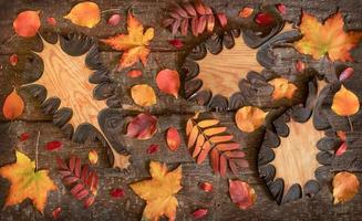 vlak leggen samenstelling van kleurrijk natuurlijk bladeren en houten gesneden bladeren Aan boom schors achtergrond. foto