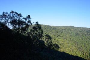 landschap in het Khaoyai National Park, Nakhon foto