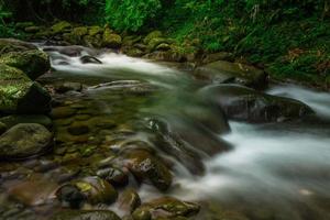 Indonesisch landschap in de ochtend- met een waterval binnen een mooi tropisch Woud foto