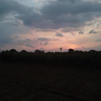 natuur foto Bij zonsondergang in de platteland