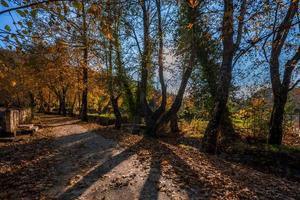 gezond leven dorp woon- Oppervlakte foto