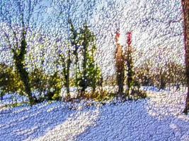 bomen takken gedekt in sneeuw achtergrond foto