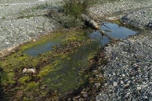 vervuild rivier- groen en geel water foto