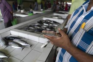 mannetje Maldiven mensen buying Bij vis markt foto