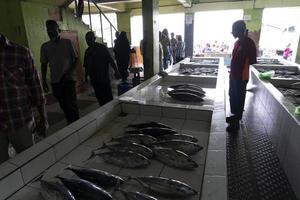 mannelijk, Maldiven - februari, 23 2019 - mensen buying Bij vis markt foto