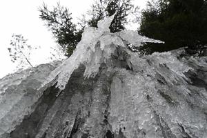 ijspegels bevroren ijs Aan boom takken foto