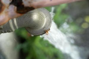 Open buitenshuis water kraan dichtbij omhoog foto