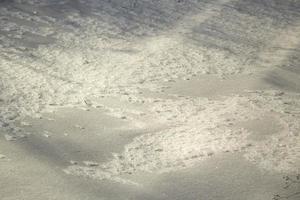 structuur van sneeuw. sneeuw achtergrond. verkoudheid oppervlak. foto