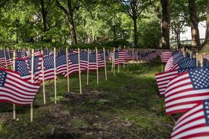 veel Verenigde Staten van Amerika vlaggen Aan groen veld- foto