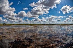 Florida Everglades visie panorama landschap foto