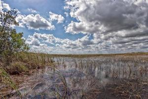 Florida Everglades visie panorama landschap van moerasboot foto