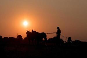 amish terwijl landbouw met paarden Bij zonsondergang foto