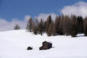 hout cabine hut in de winter sneeuw achtergrond foto