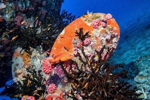 schip wrak in Maldiven Indisch oceaan foto