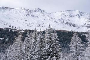 sneeuw wandelen Woud panorama landschap bergen van de kerstman caterina valfurva Italiaans Alpen in winter foto