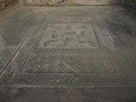 mozaïek- in volubilis Romeins ruïnes in Marokko- best bewaarde Romeins ruïnes gelegen tussen de keizerlijk steden van fez en Meknes foto