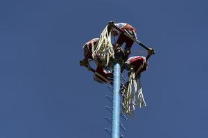 Mexico stad, Mexico - januari 30 2019 - de oude dans van flyers los voladores foto