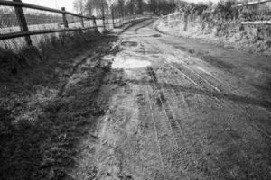 grijswaarden schot van pad in de bossen foto