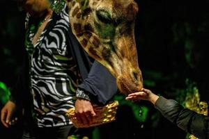 circus giraffe dichtbij omhoog portret foto