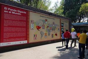 Mexico stad, februari 3 2019 - stad- park chapultepec druk van mensen Aan zondag foto