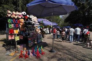 Mexico stad, februari 3 2019 - stad- park chapultepec druk van mensen Aan zondag foto