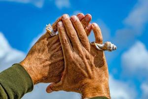 hand- met een schelp in de lucht foto