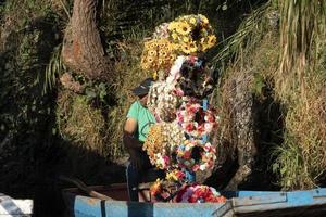 Mexico stad, Mexico - januari 30 2019 - xochimilco is de weinig Venetië van de Mexicaans hoofdstad foto