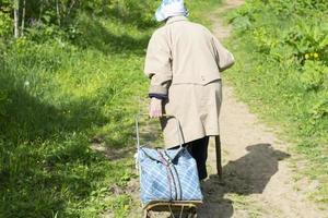 oud vrouw met kar. gepensioneerd in Rusland. oud vrouw wandelingen door Woud. foto