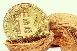 cryptogeld fysiek goud bitcoin munt in pistachenoten walnoten wit geïsoleerd foto