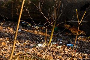 onwettig verstrooien vuilnis in blauw plastic zak dump in bossen aan het liegen Aan vers gras in vroeg voorjaar seizoen, schoon omhoog de wereld foto