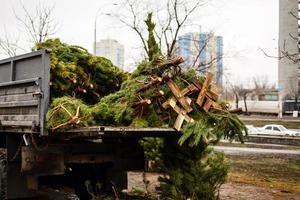 Kerstmis boom Aan de kar klaar voor oppakken foto