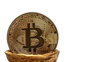 cryptogeld fysiek goud bitcoin munt in pistachenoten walnoten wit geïsoleerd foto