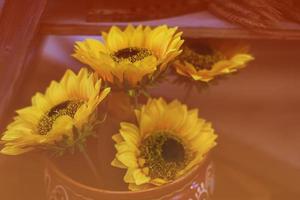 zonnebloemen in een blauw ingemaakt gevonden zonnebloemen in een pot foto