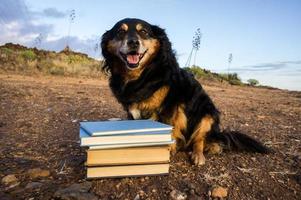 schattig hond met boeken foto