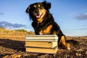 schattig hond met boeken foto